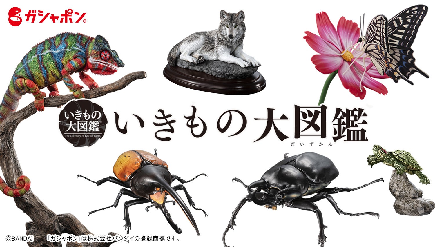 いきもの大図鑑