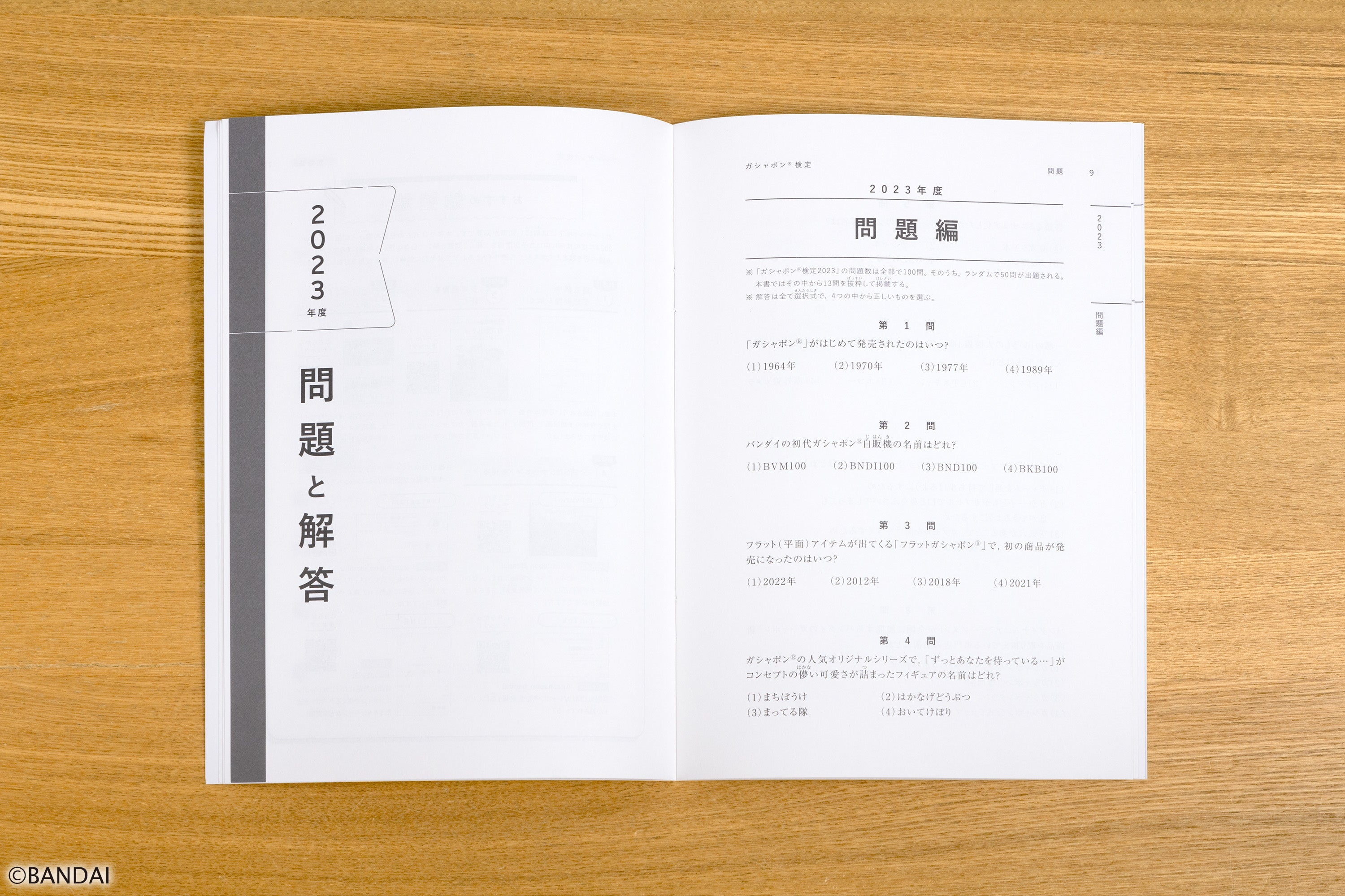 「ガシャポン®検定赤本」中身ページ