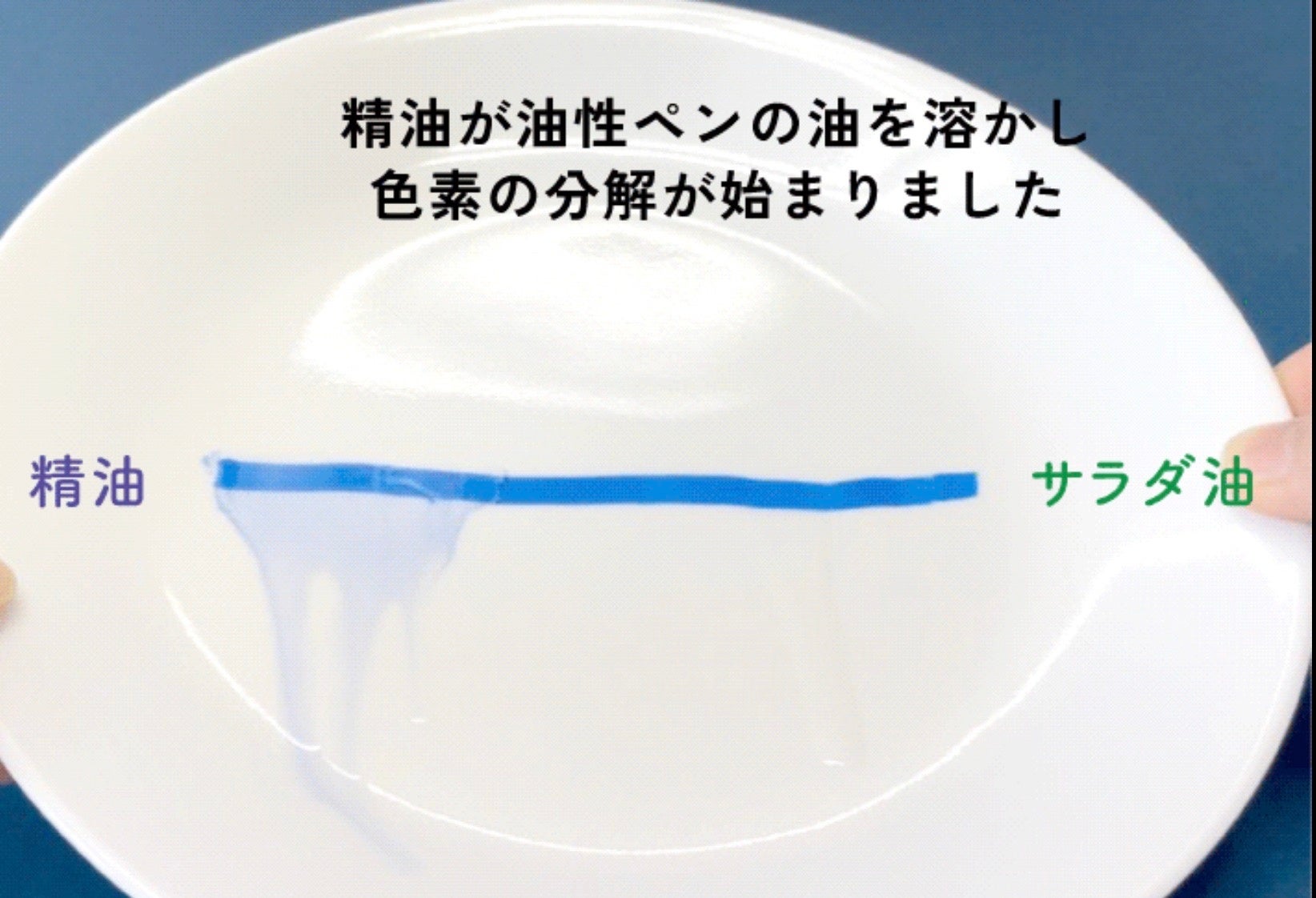 (画像A)精油の洗浄実験。質量の軽い精油はマジック(油)を融解します。