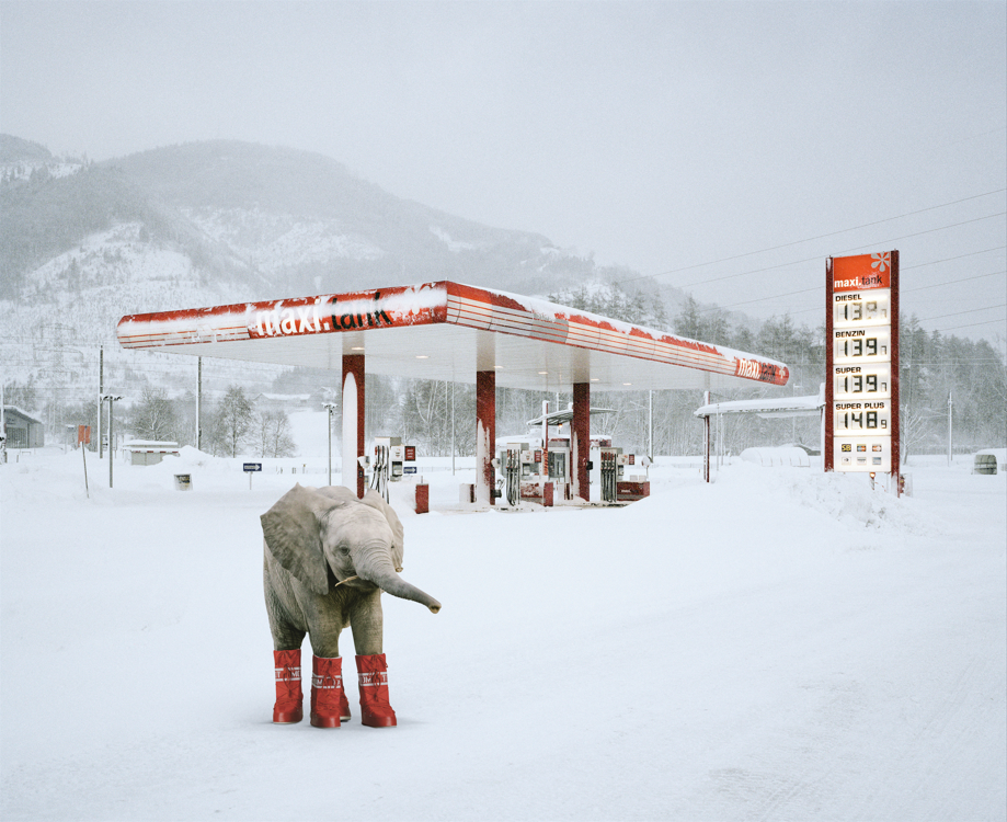 MOON BOOT/ムーンブーツ》 | 株式会社豊田貿易のプレスリリース