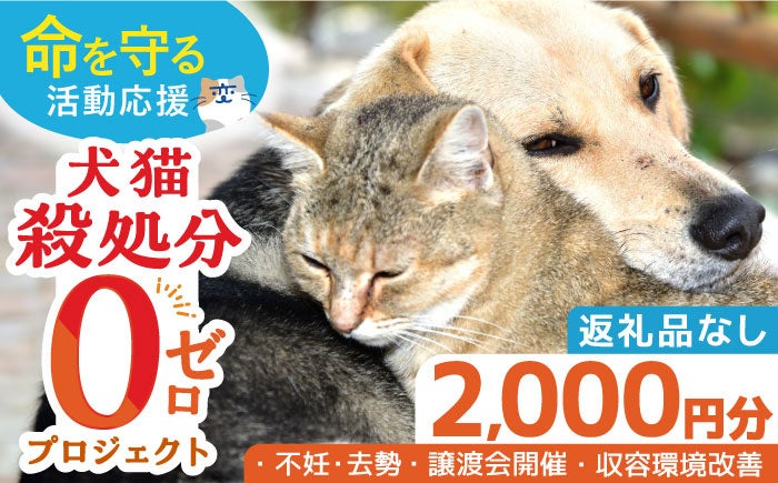 【裁断済】犬と猫の初期診療アプローチ とある臨床現場を覗いて学ぶ犬と猫の初期診療アプローチ | 鳩谷