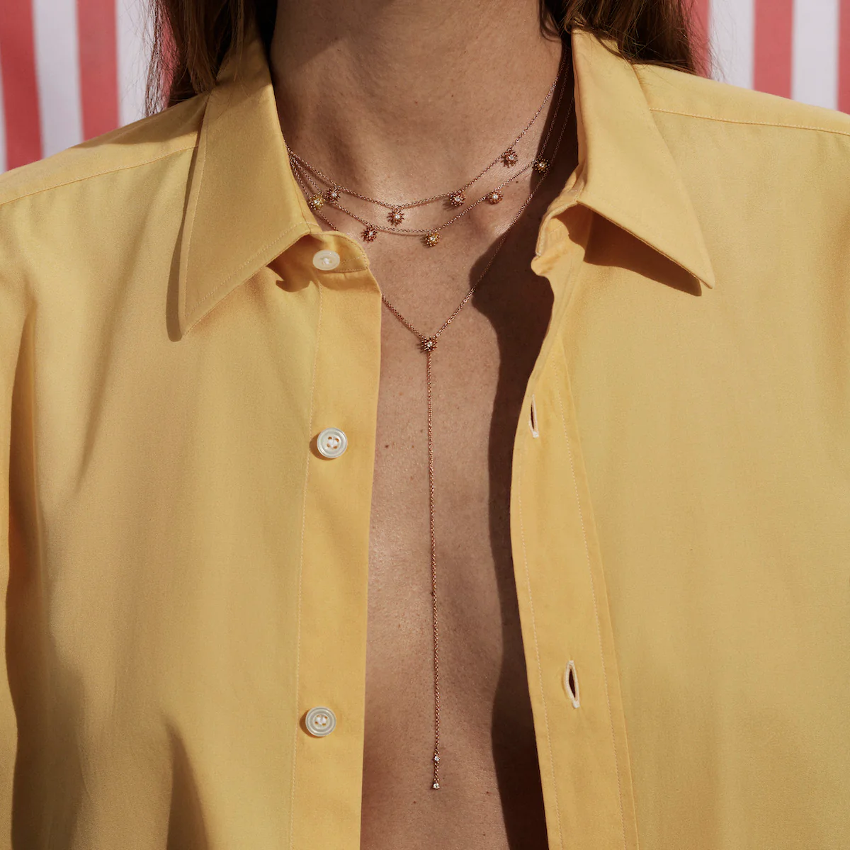 プティ・カクタス・ヴァニーユコレクション