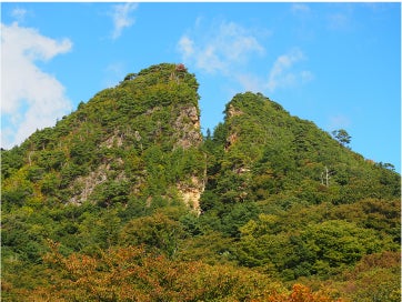~空の道を開き “佐渡特産品” を首都圏へ届ける!~ 越佐海峡を初めて物流ドローンが渡る 物流動線開拓の実証事業実施について