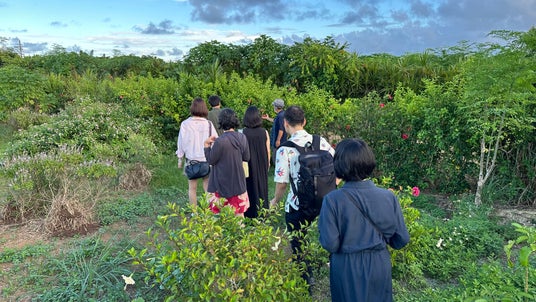 薬草研究家・織田剛、出身地の宮古島で自然と文化に触れるリトリートツアーを開催 薬草研究家・織田剛、出身地の宮古島で自然と文化に触れるリトリートツアーを開催