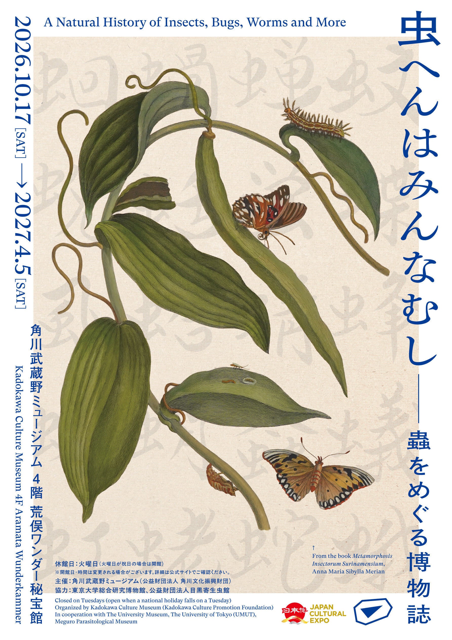 カエルも、タコも、虹も、ハラノムシも　昆虫だけではない「虫偏」の生き物を網羅する、荒俣宏監修の異色の博物画展　「虫へんはみんなむし－蟲をめぐる博物誌」角川武蔵野ミュージアムで開催