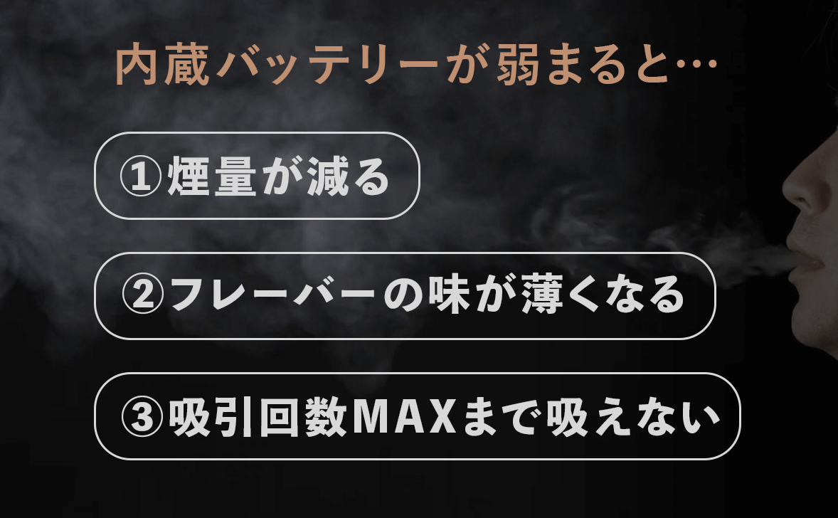 chill habit チルハビット ミント スウィートメロン マウス