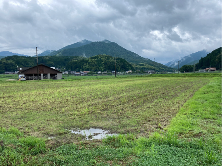 耕作放棄地を開墾した畑