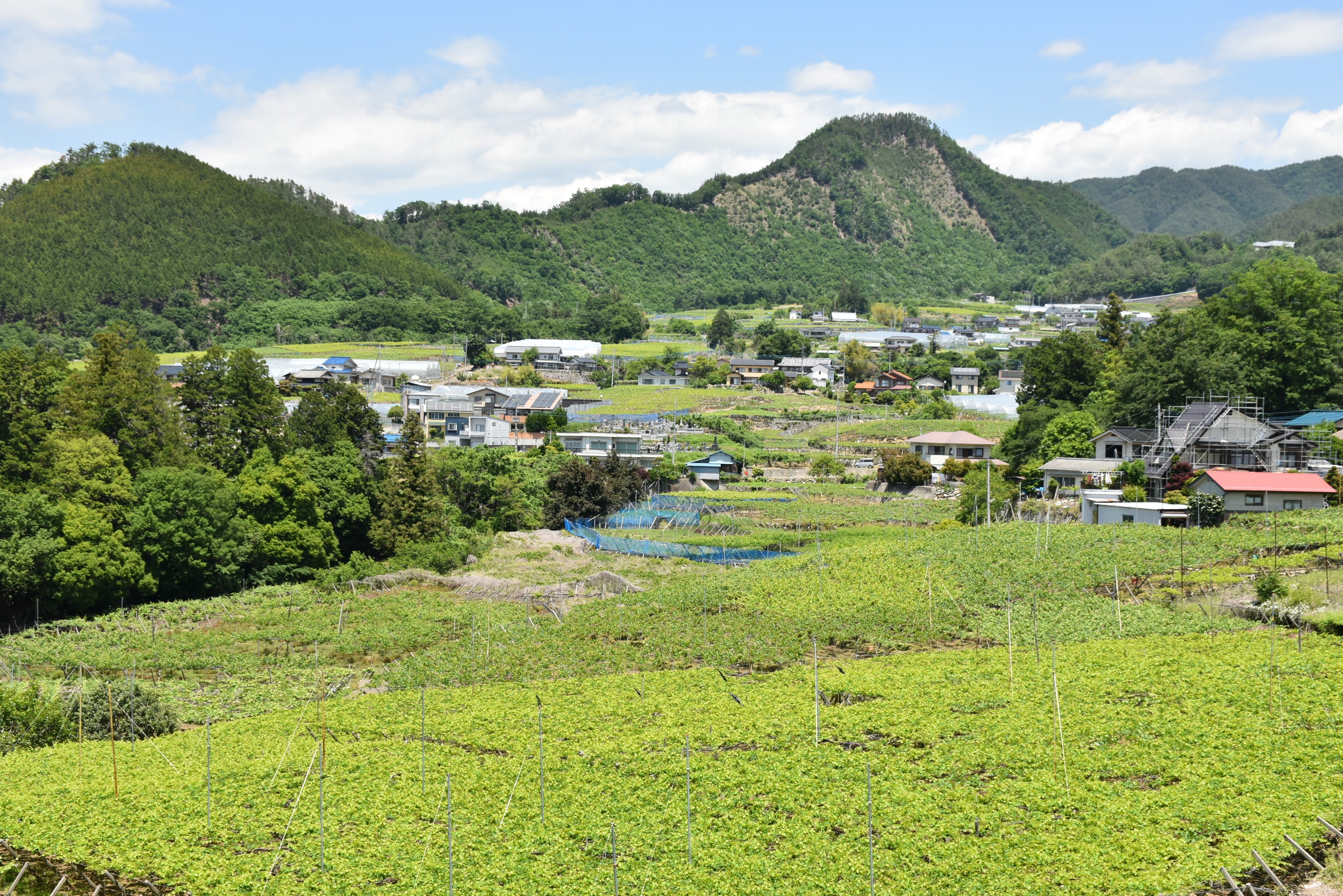 自然環境が抜群の山梨県峡東地区