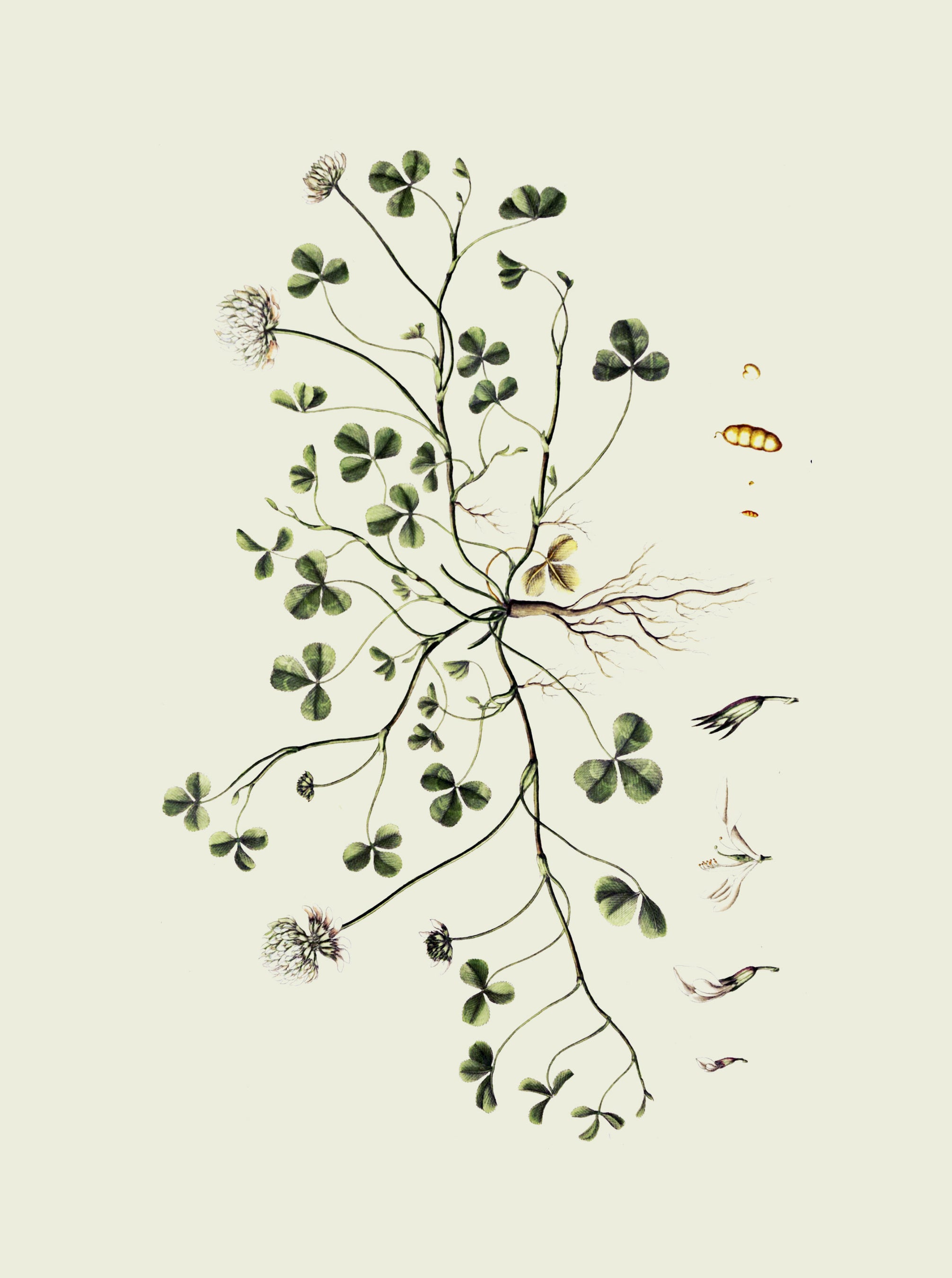 オリジナルジュエリークロス