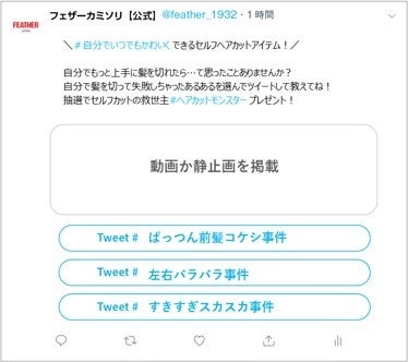 投稿イメージ