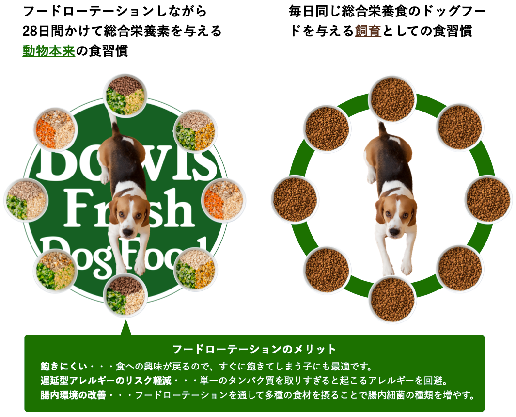 Bowls Fresh Dog Food ボウルズ　手作り　フード Bowls お試しサンプルセット｜Bowls Fresh Dog Food フード