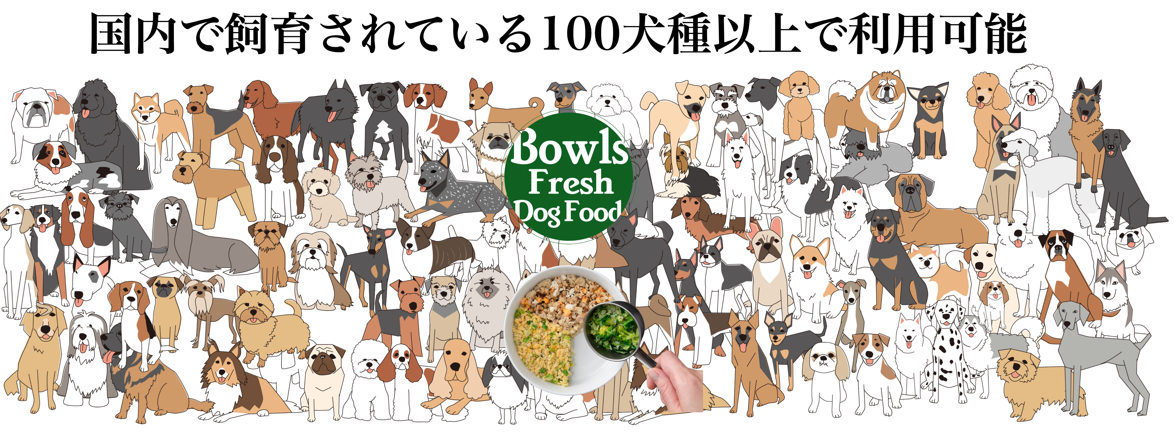 うちの子レシピで調べることができる犬種