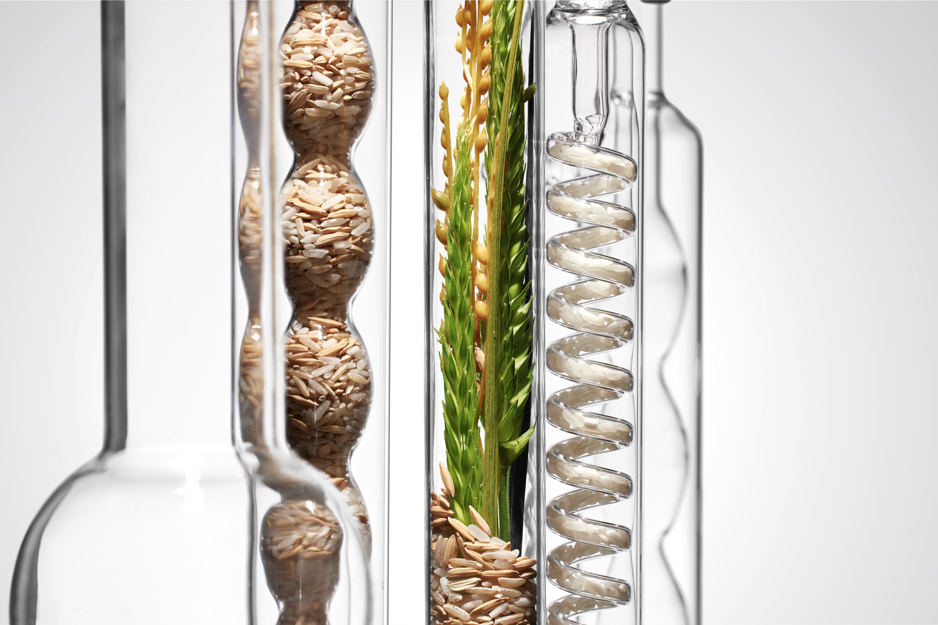 パワフルな栄養成分をゆっくりと安定的にに届ける新技術「リバイタソームテクノロジー®︎」