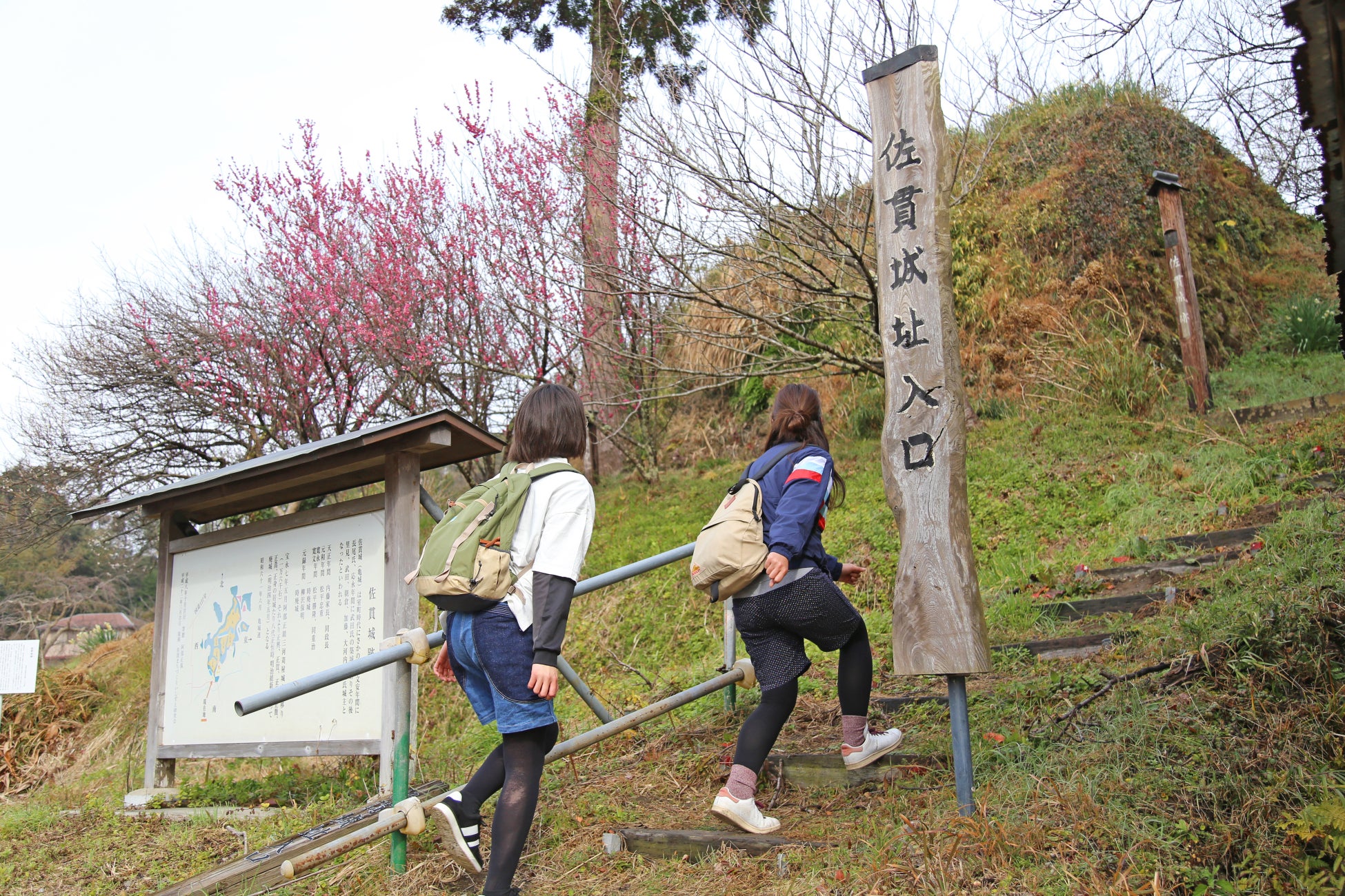 第123回 マザー牧場 歩け歩け大会!参加無料のウォーキングイベント! 第123回 マザー牧場 歩け歩け大会!参加無料のウォーキングイベント!