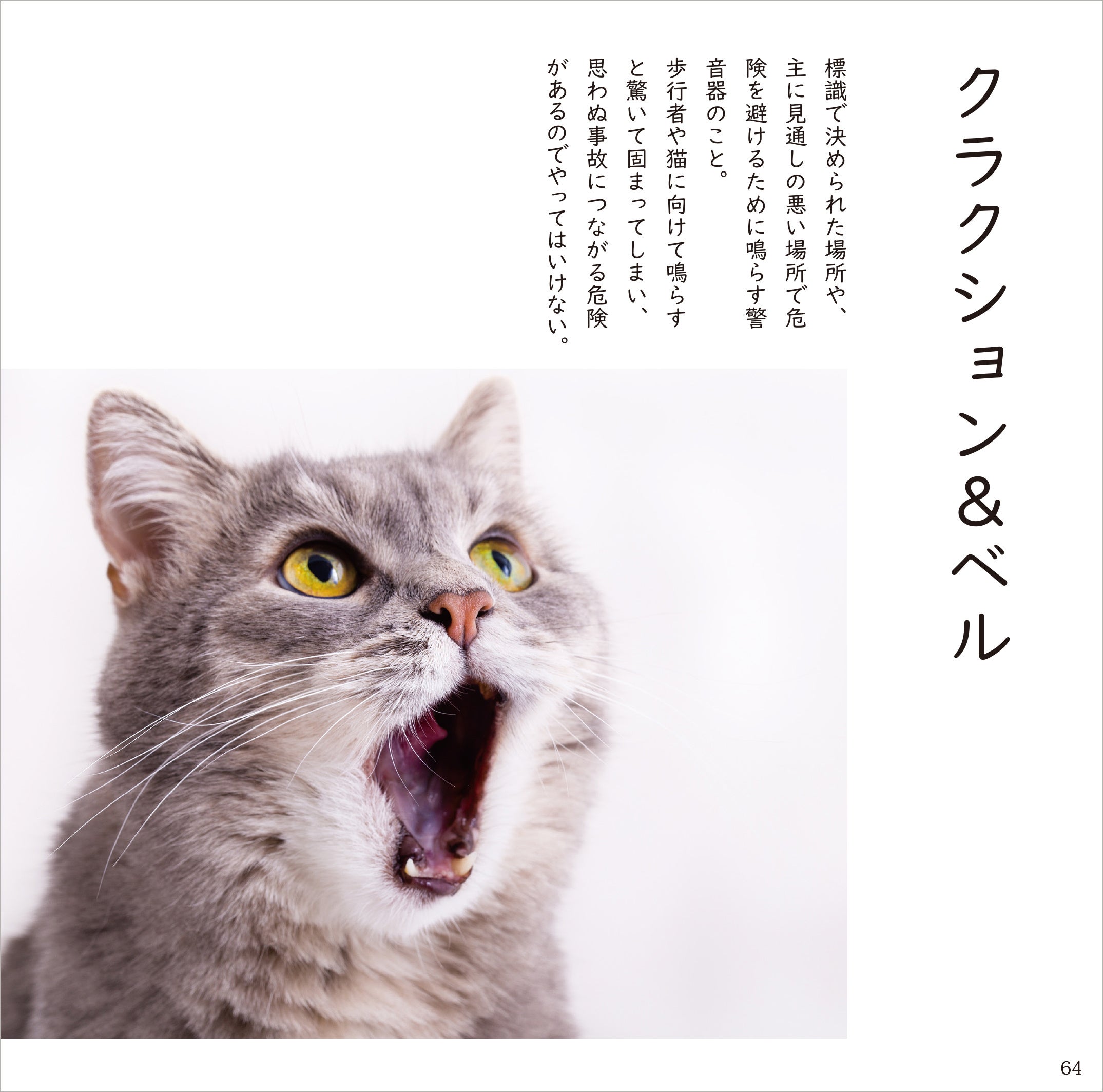 猫×交通安全‼ 猫好き垂涎の、かわいく楽しい交通マナーフォト