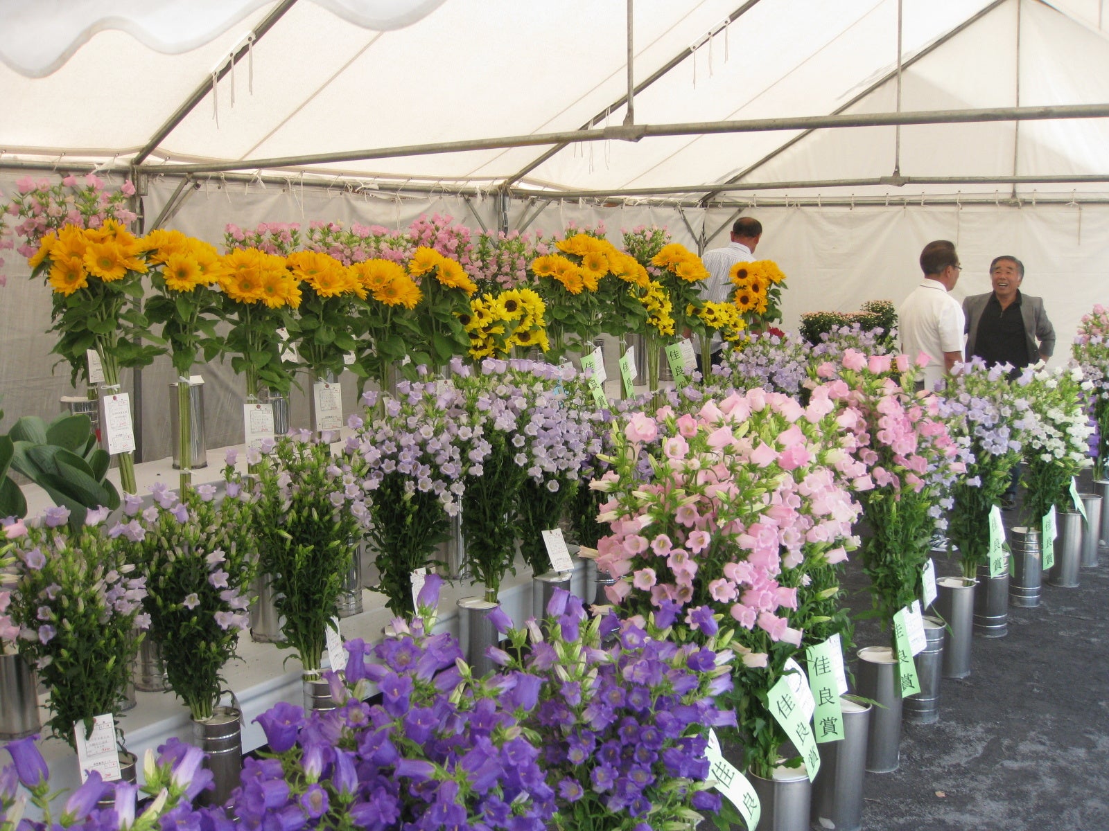 花の品評会