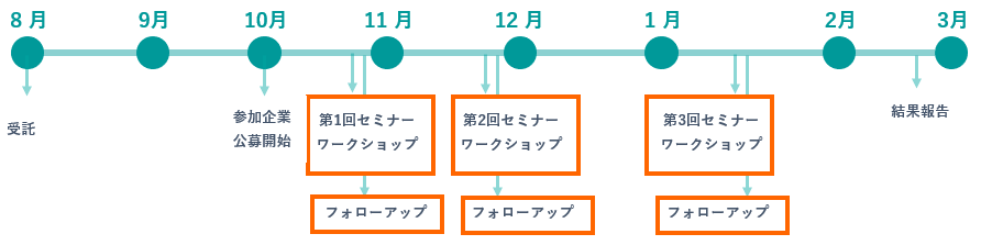 事業の流れ（セミナー・ワークショップの実施タイミング）