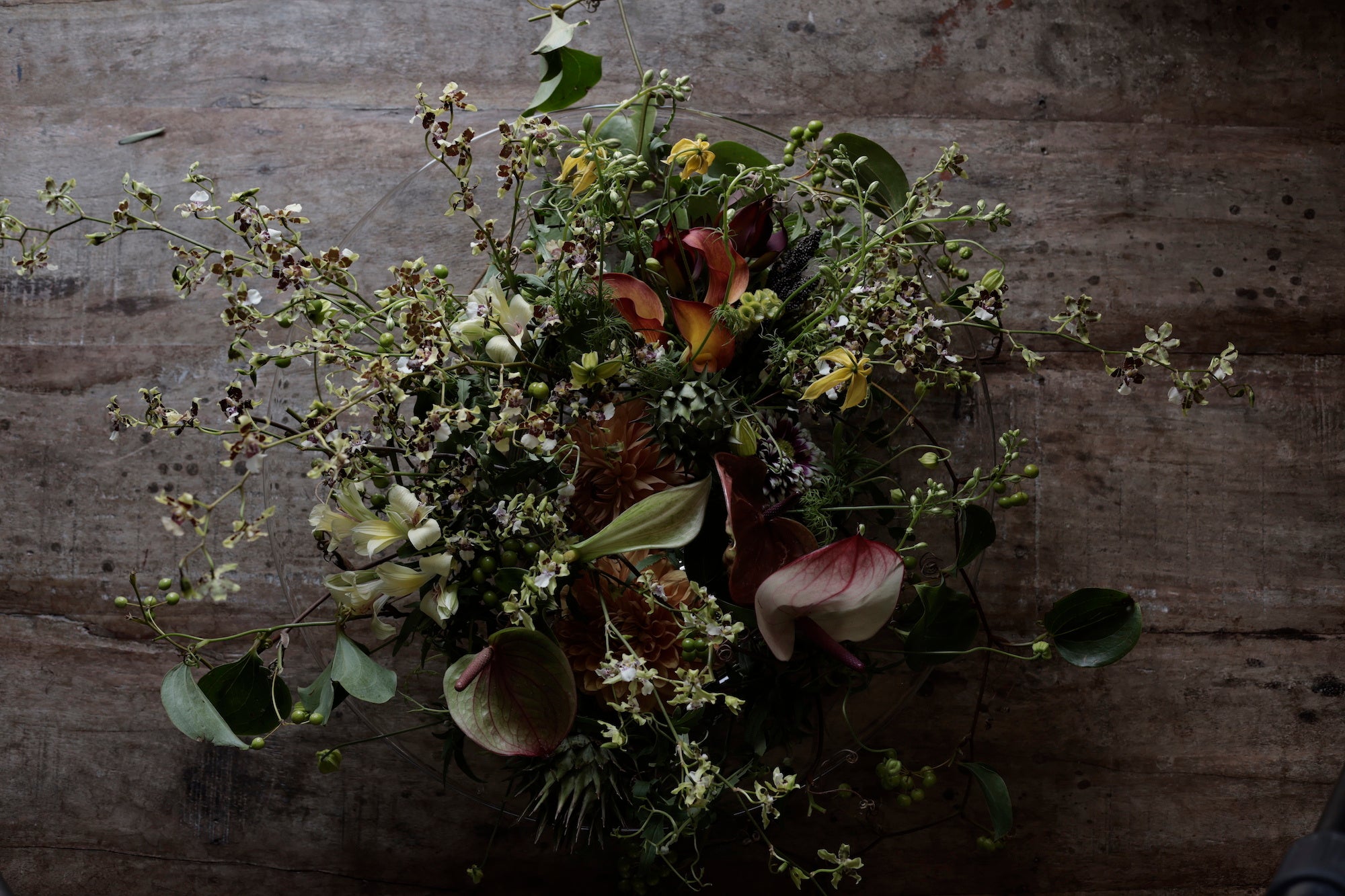 デジタルキャンバス×NFT技術で楽しむ新たなアート体験・笹口悦民写真展