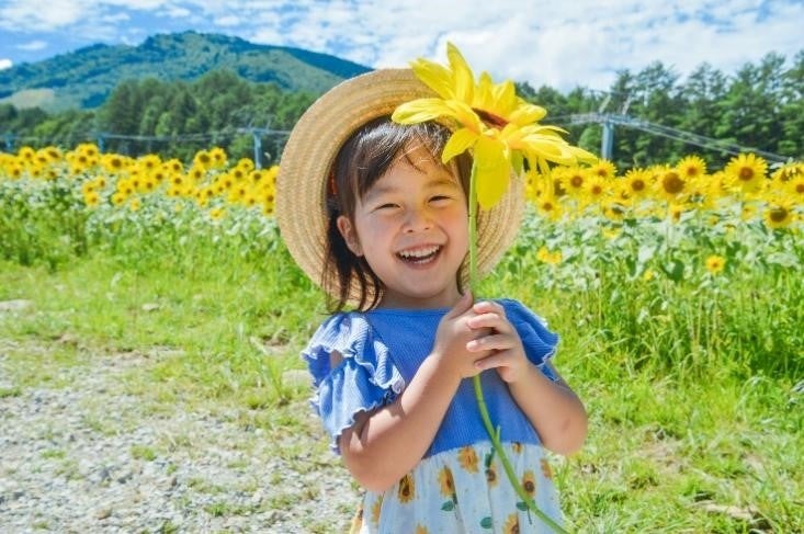 アルコピアひまわり園(昨年の様子)