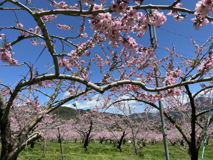 久々野地域イメージ