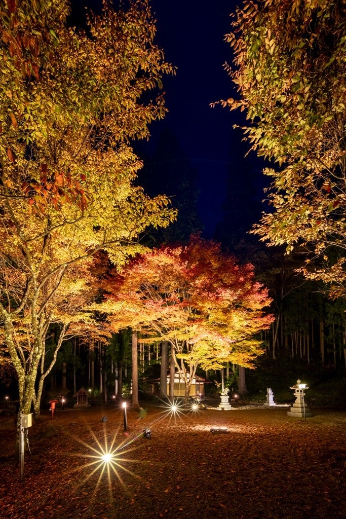 【海洋博公園】「美ら海通信10月号」発行!