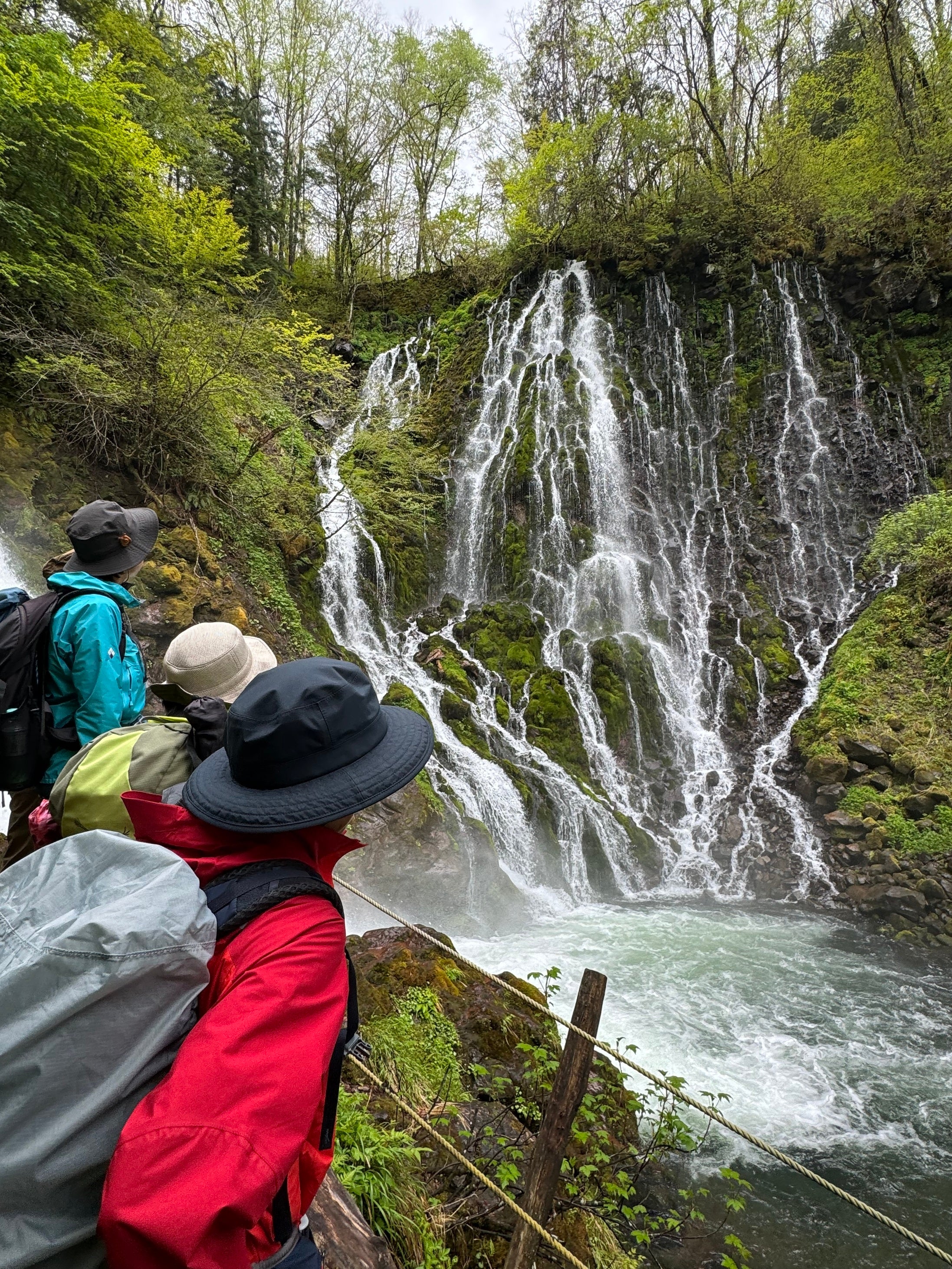 五色ヶ原の森「布引滝」