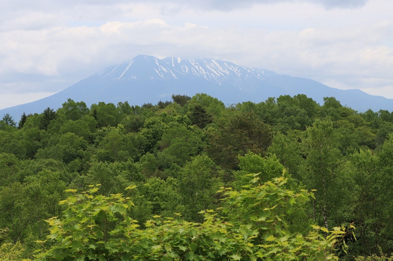 高原から望む御嶽山