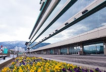 ボートレースびわこ初のアイドルフェス!SKE48がヘッドライナーに決定「BIWAFES」2月3日(土)、4日(日)に開催 総勢6組のアーティストが出演予定 ボートレースびわこ初のアイドルフェス!SKE48がヘッドライナーに決定「BIWAFES」2月3日(土)、4日(日)に開催 総勢6組のアーティストが出演予定