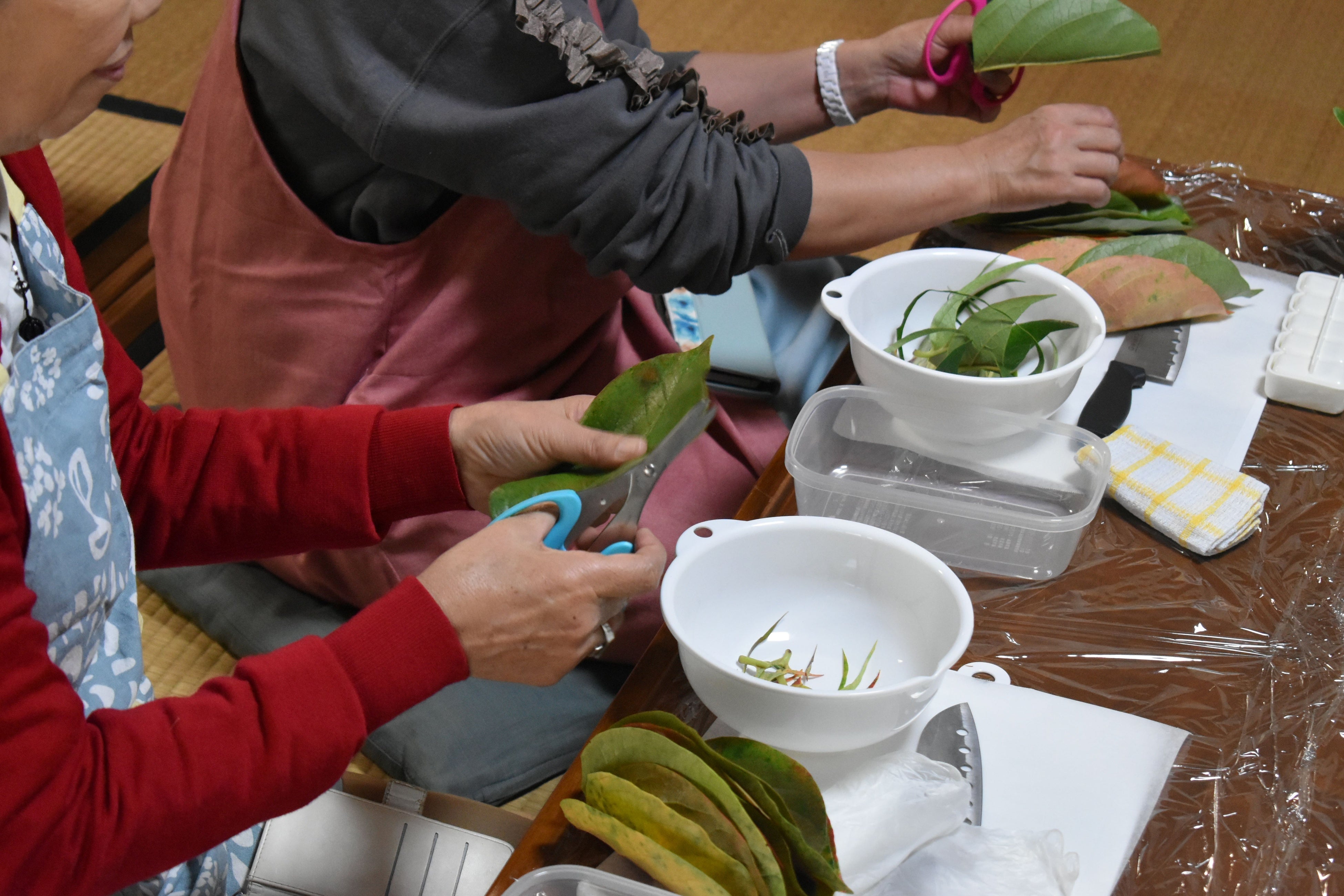 柿の葉を切って整える様子