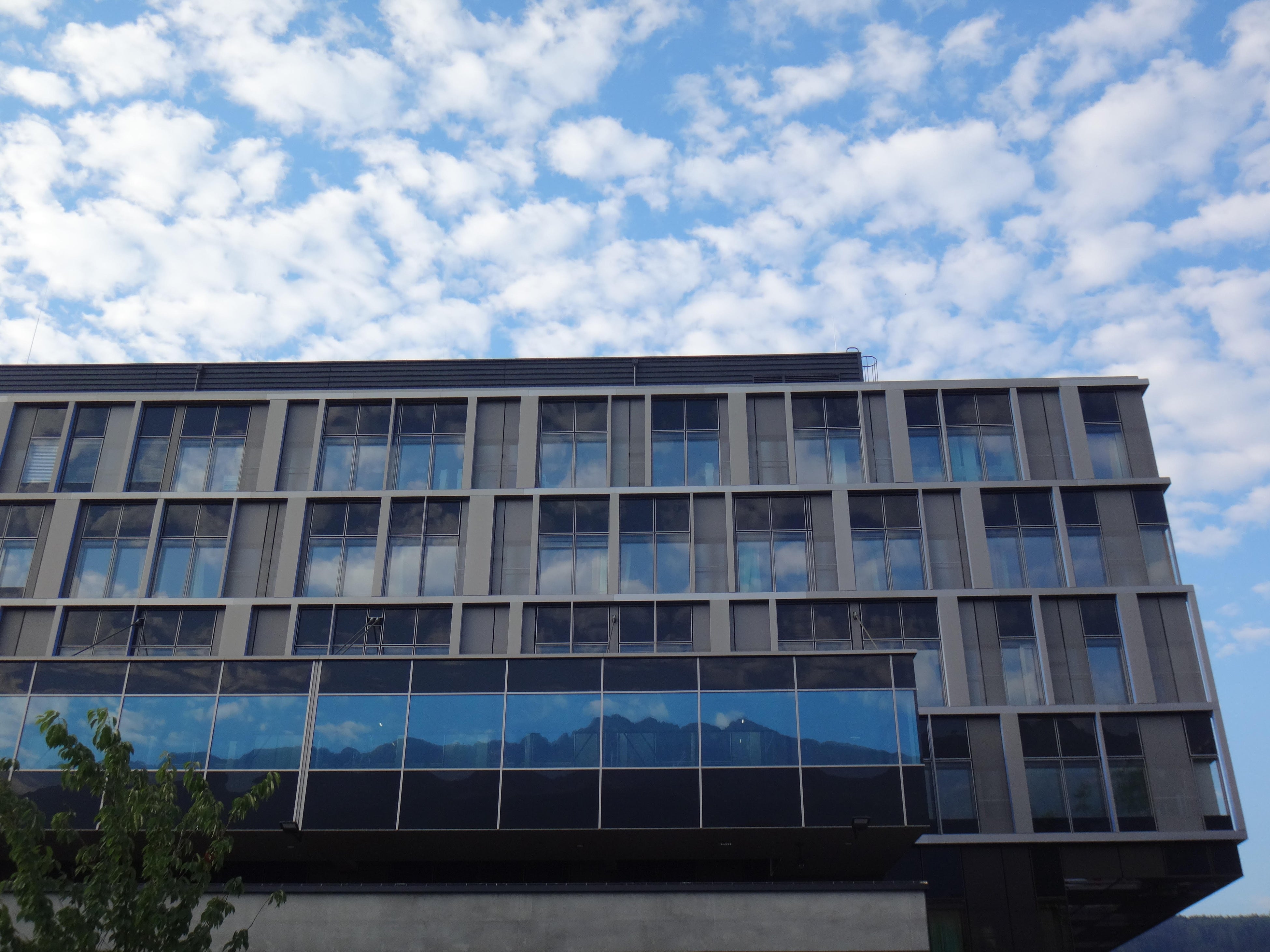 インスブルック医科大学