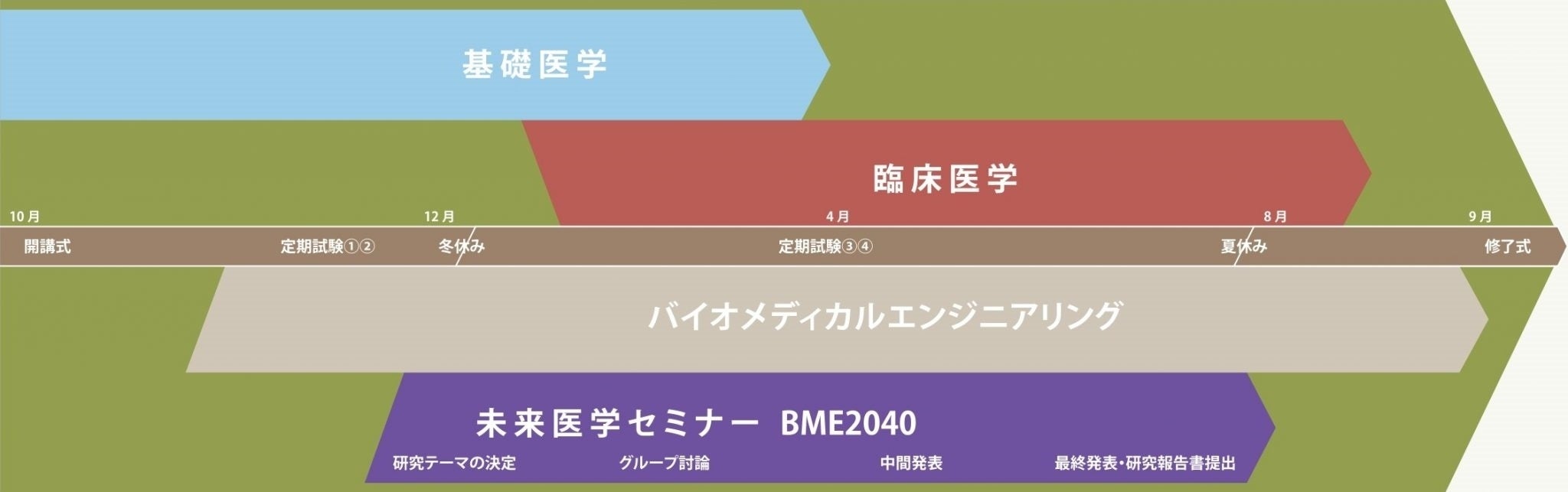 年間スケジュール