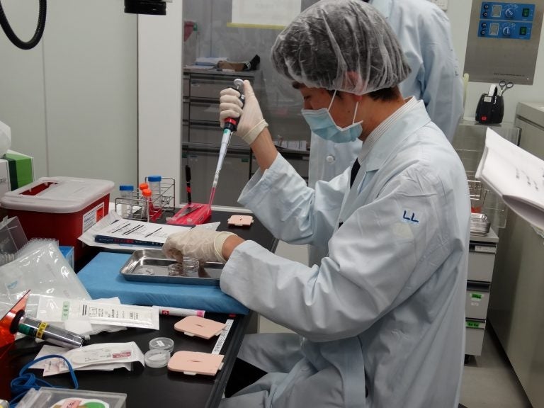 細胞シートの回収と移植（再生医療実習）