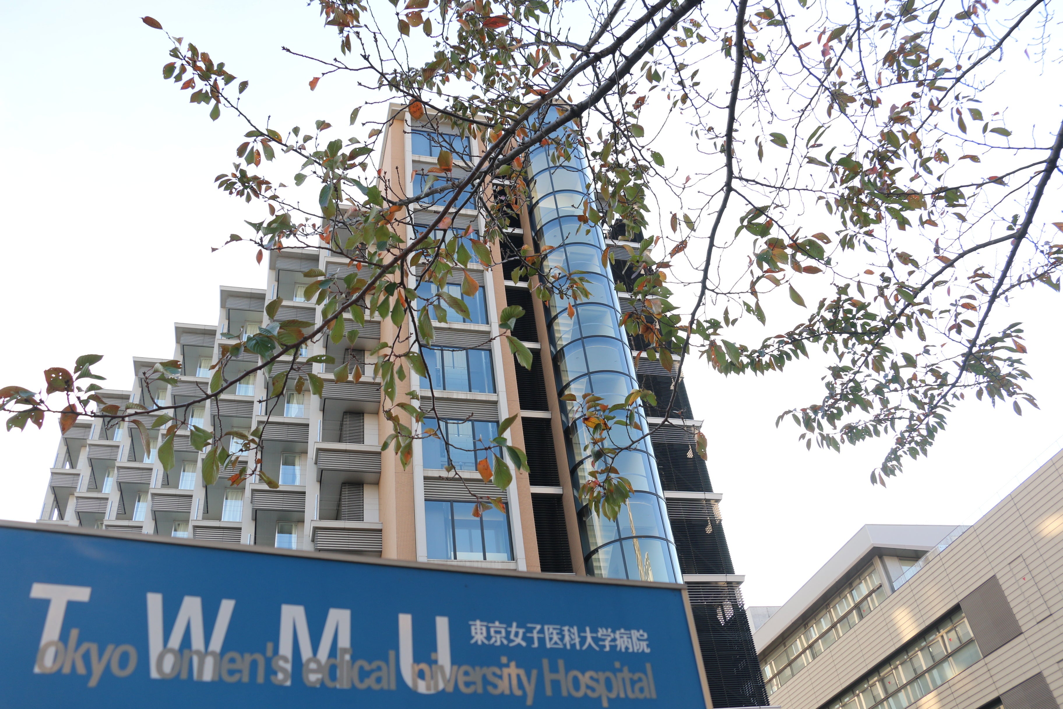 東京女子医科大学病院（新宿区河田町）