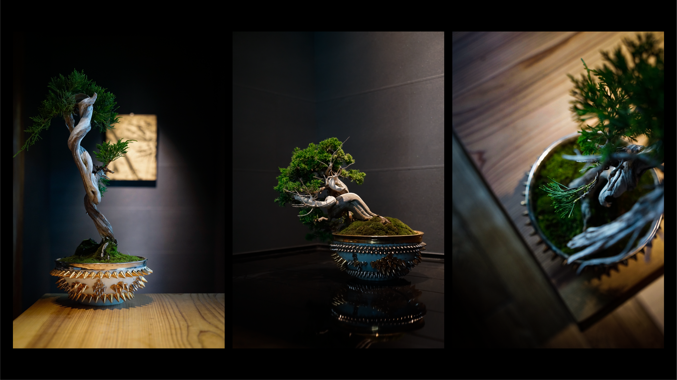 東京初出店】Scapes