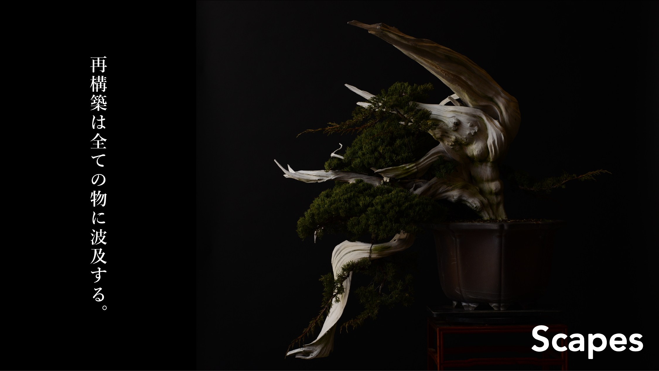 東京初出店】Scapes