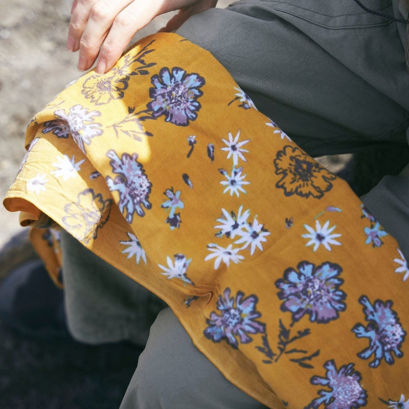 マツムシソウ＆イワツメクサ