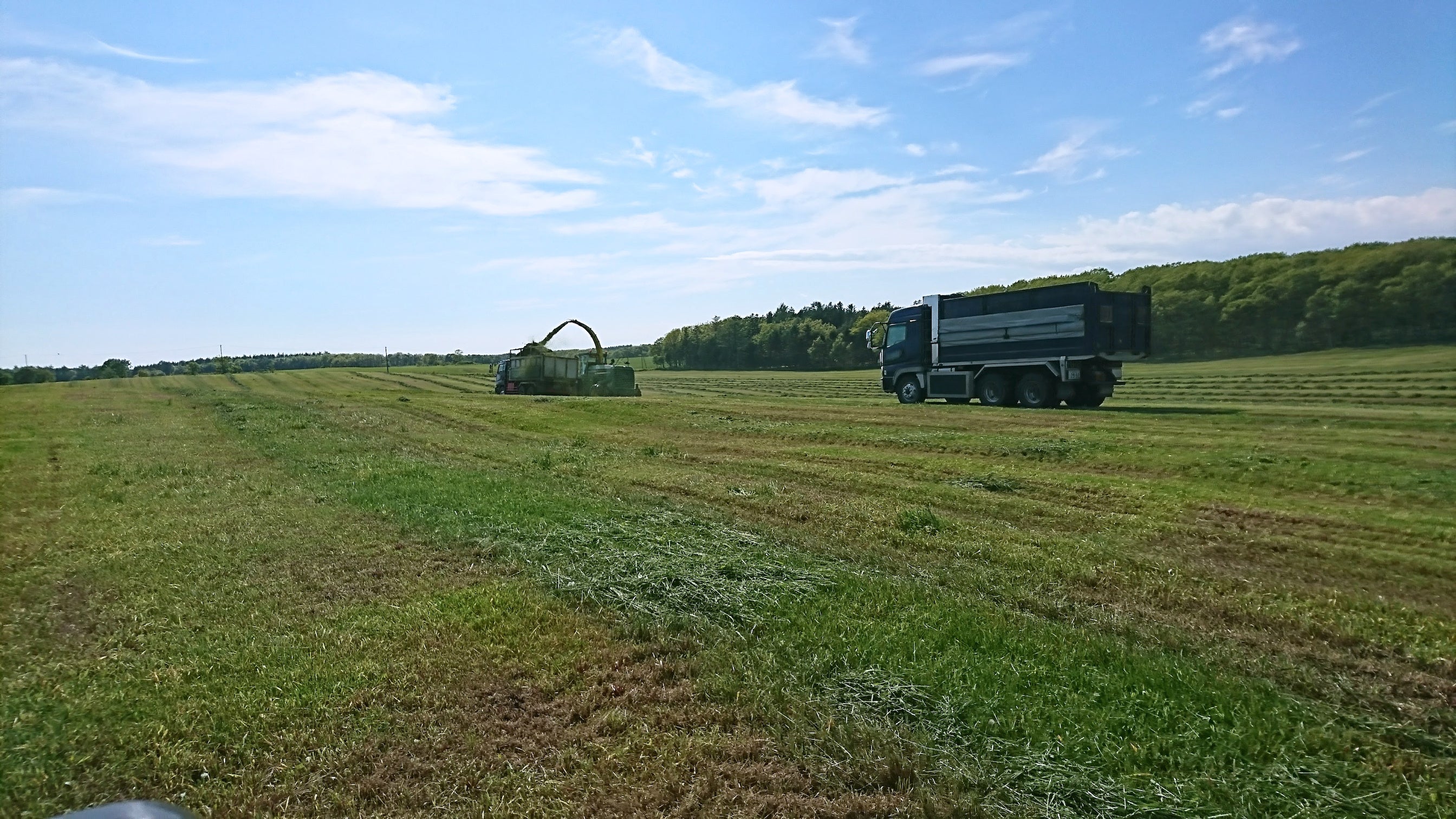 生乳生産 日本一の地にて「道東カーボンファーミング研究会」が設立。牧草地が持つ土壌が持つ脱炭素のポテンシャルを見極めていきます。