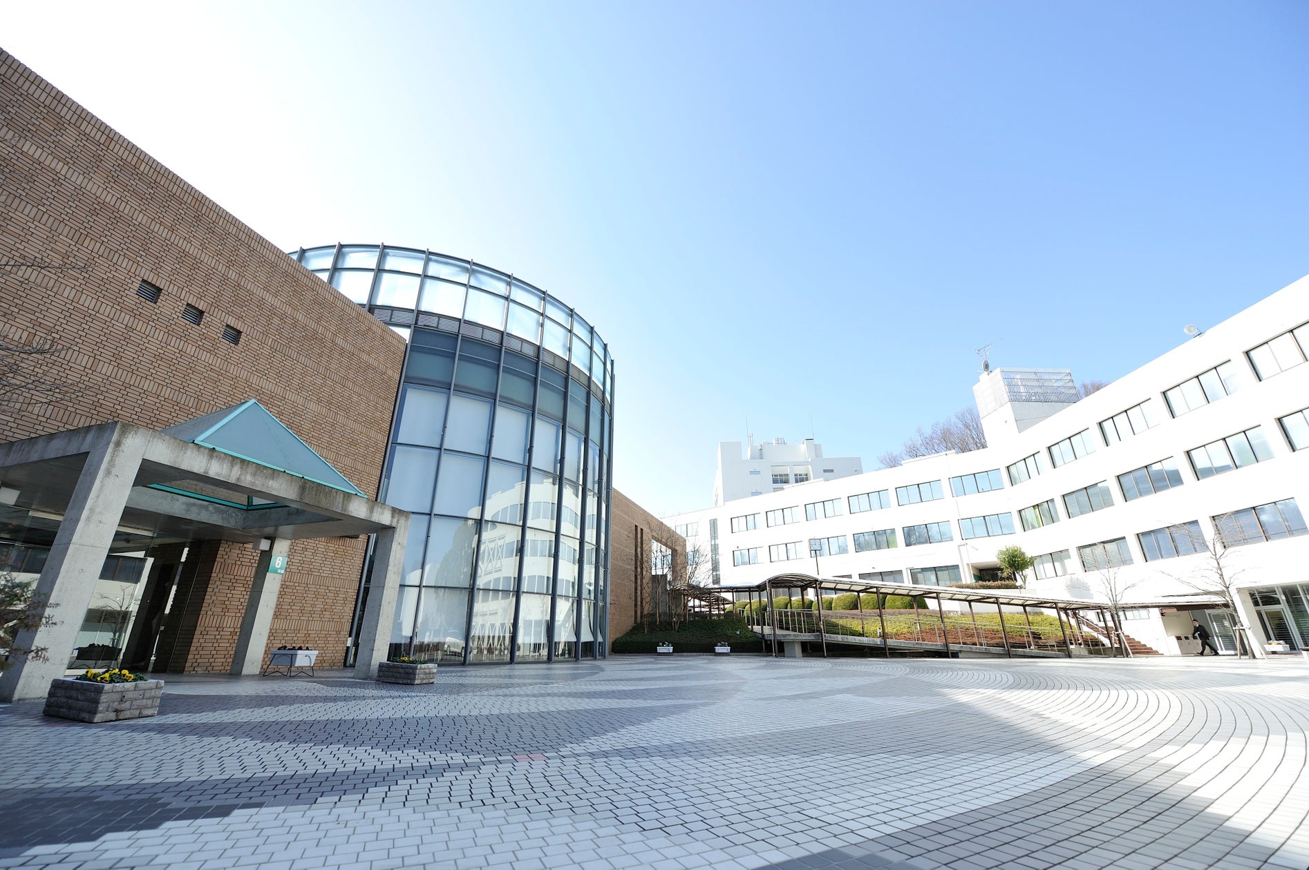湘北 短期 大学
