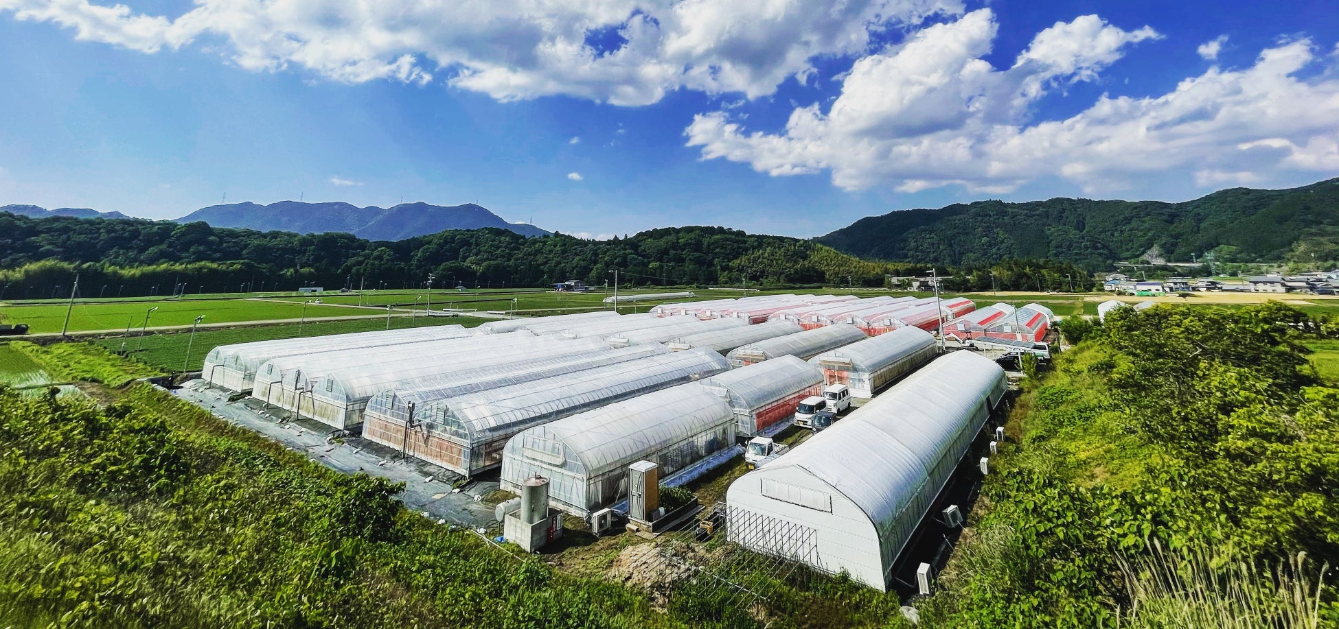 ▲ポモナファーム全景