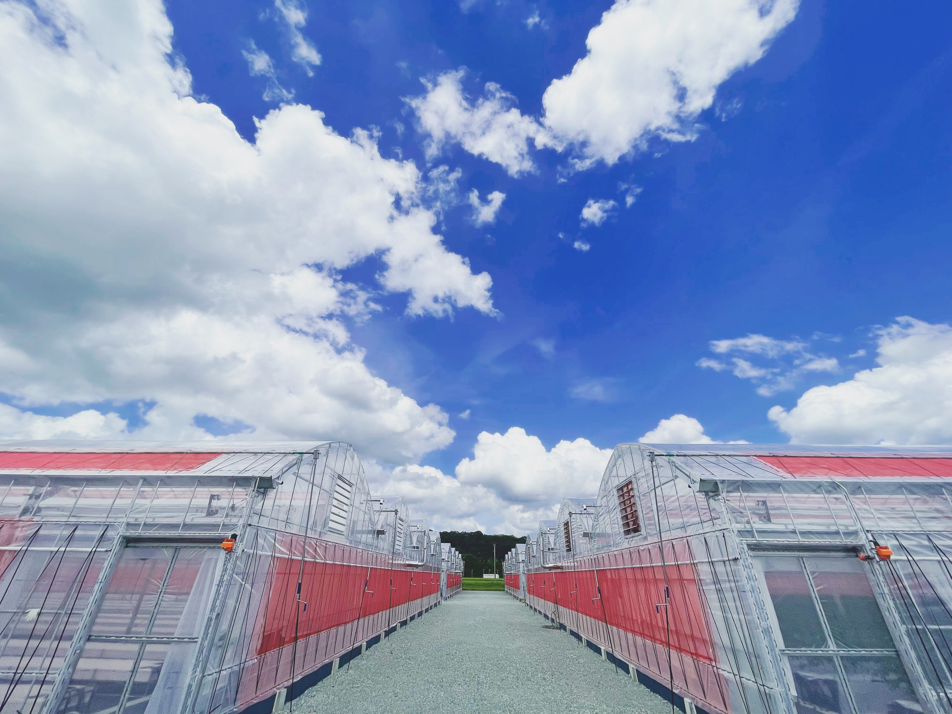 ▲ファーム外観