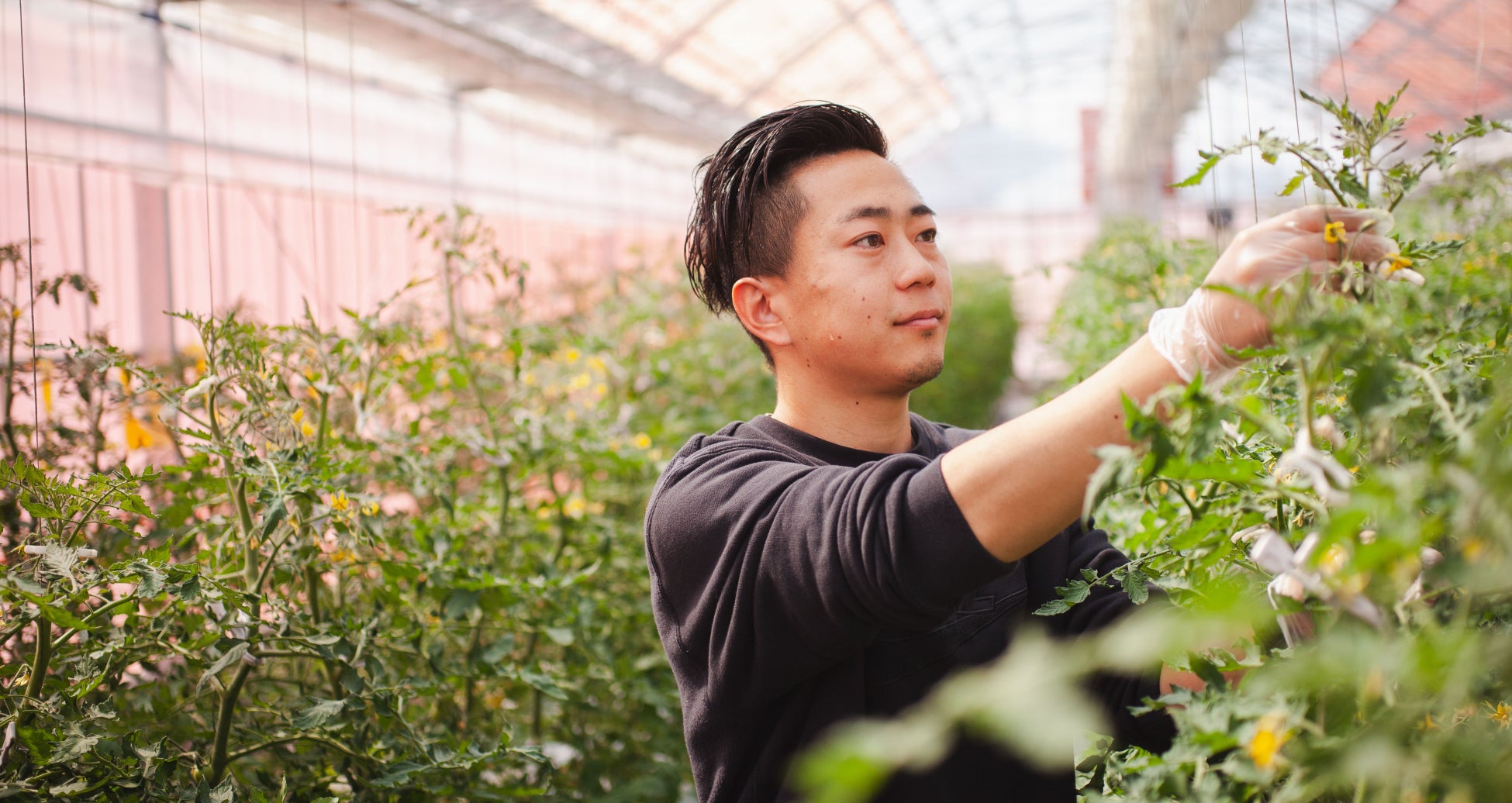 ▲手入れ作業を行う中西農場長