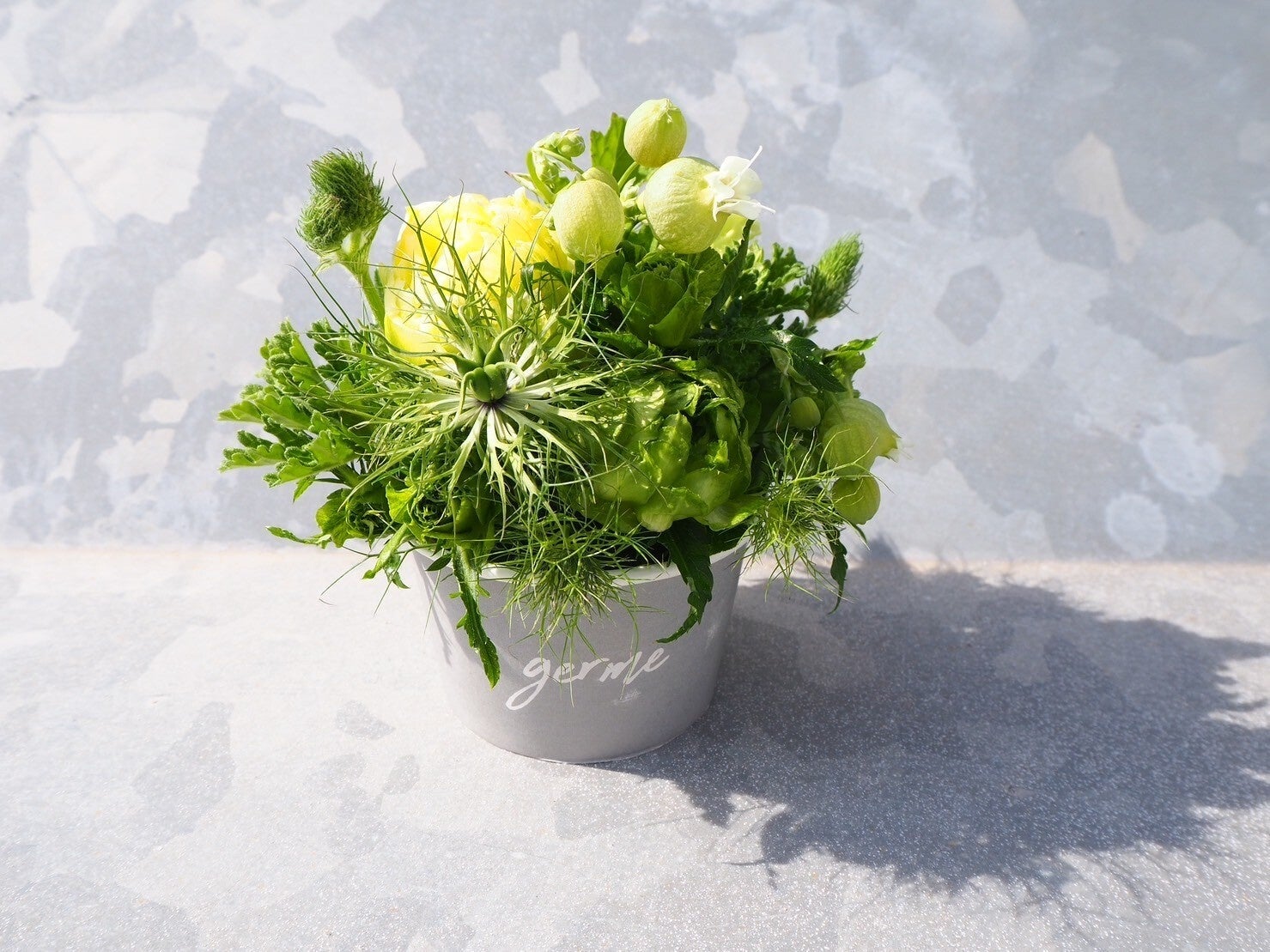 オープン期間限定グリーンアレンジ