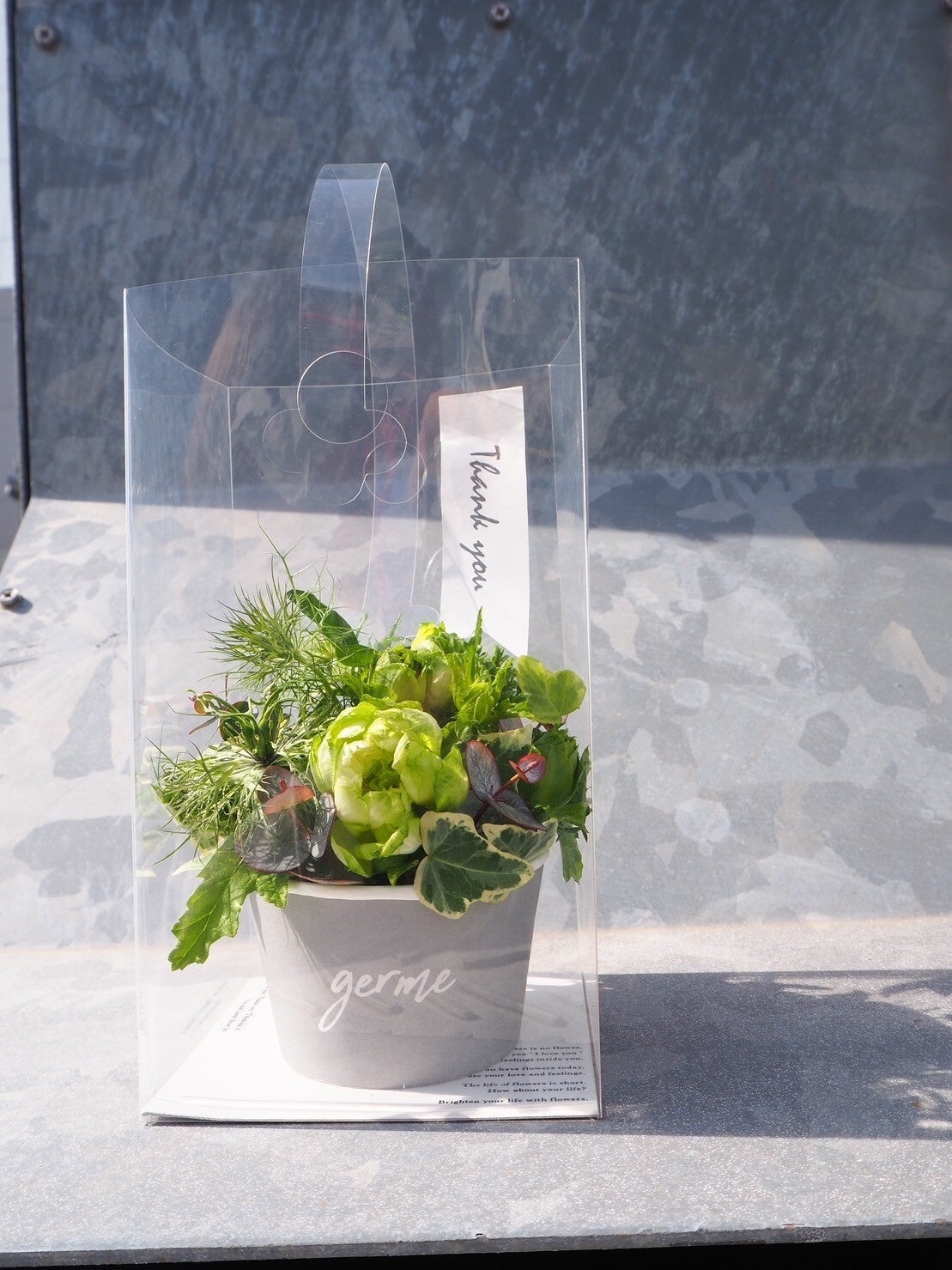 オープン期間限定グリーンアレンジ