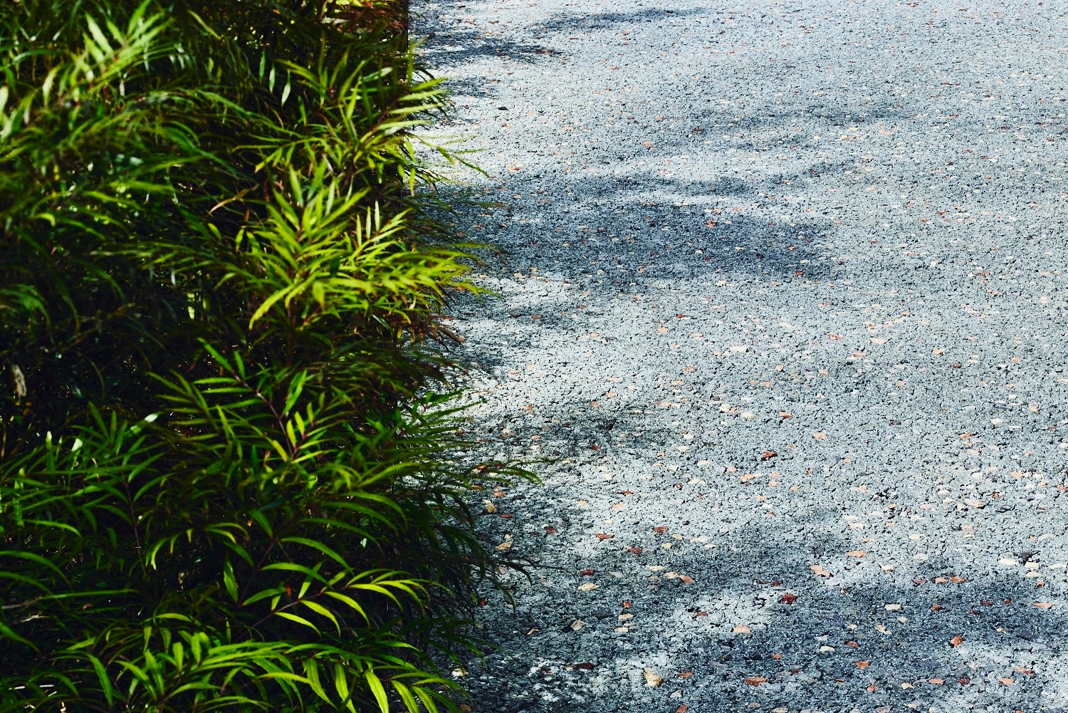 どのような外構にも馴染む高いデザイン性