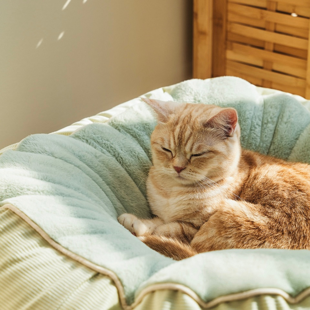 NOLANROSS ノーランロス ハンモッククッション 犬 猫 ベッド ねこ ハンモッククッション - ペット用品通販サイトノーランロス