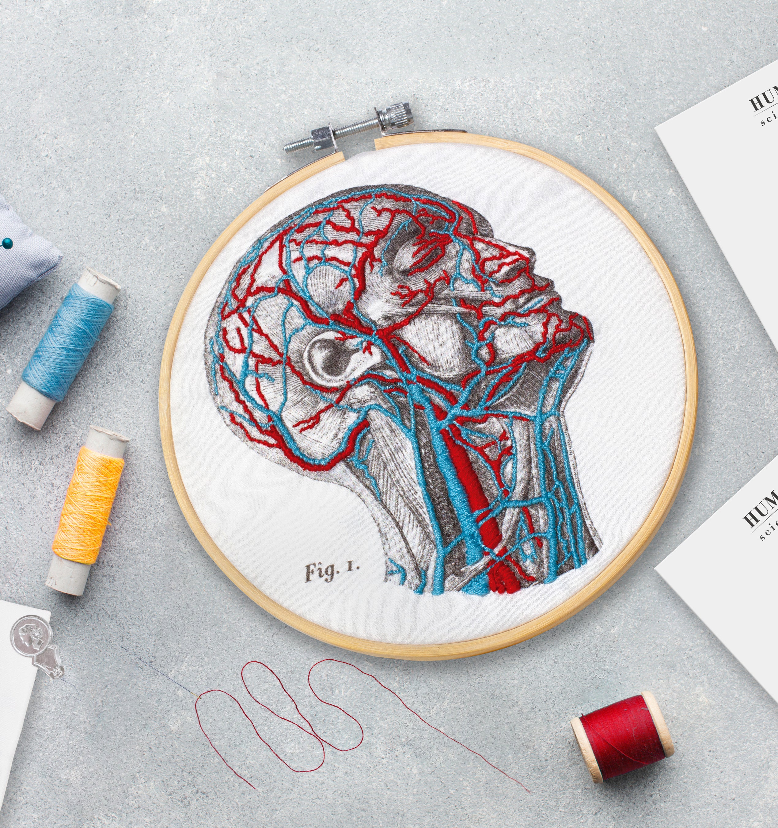 Mr Sci science factory／DIY血管刺繍キット