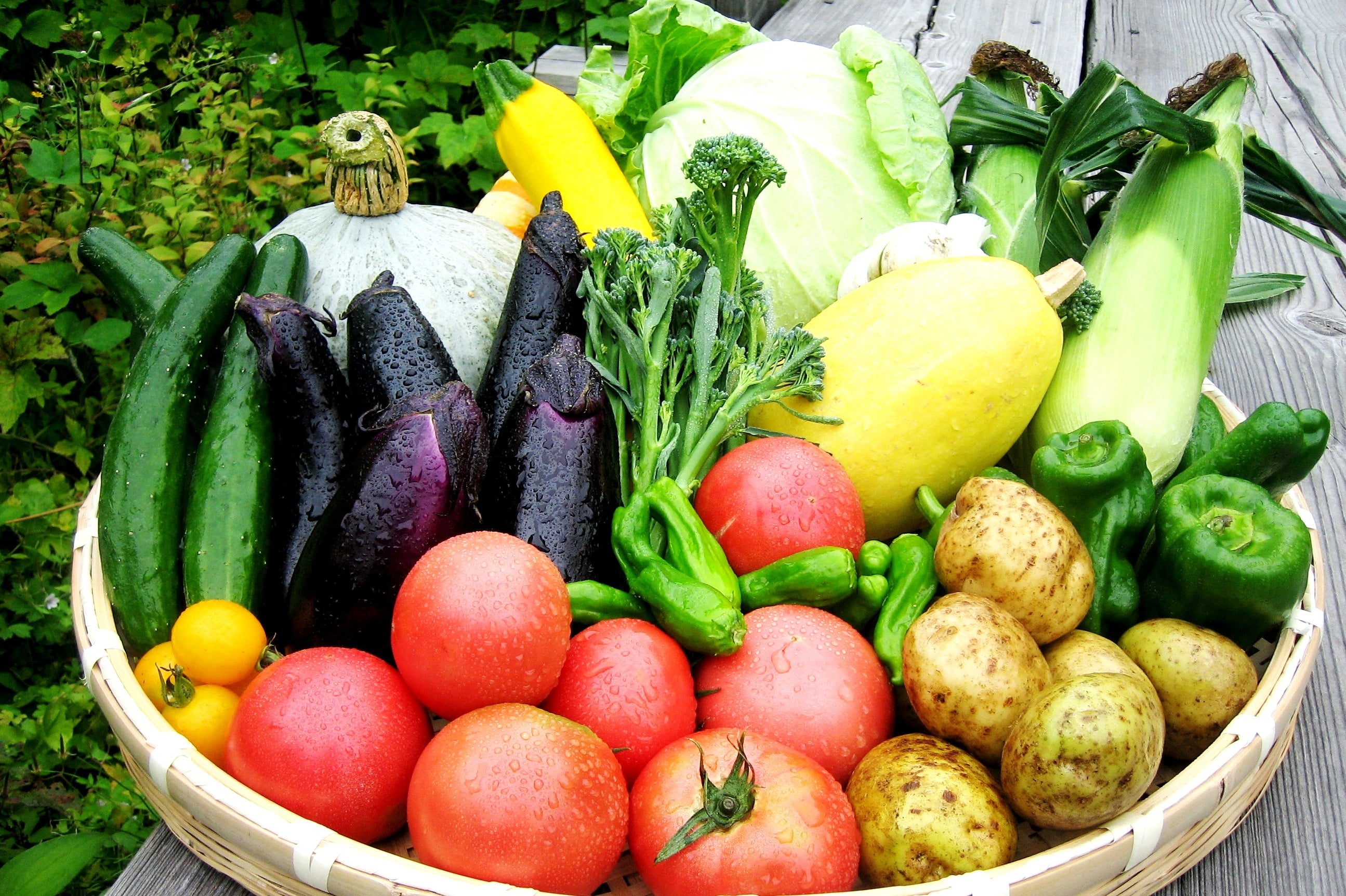 片品村の野菜（プレゼントの野菜とは異なります）