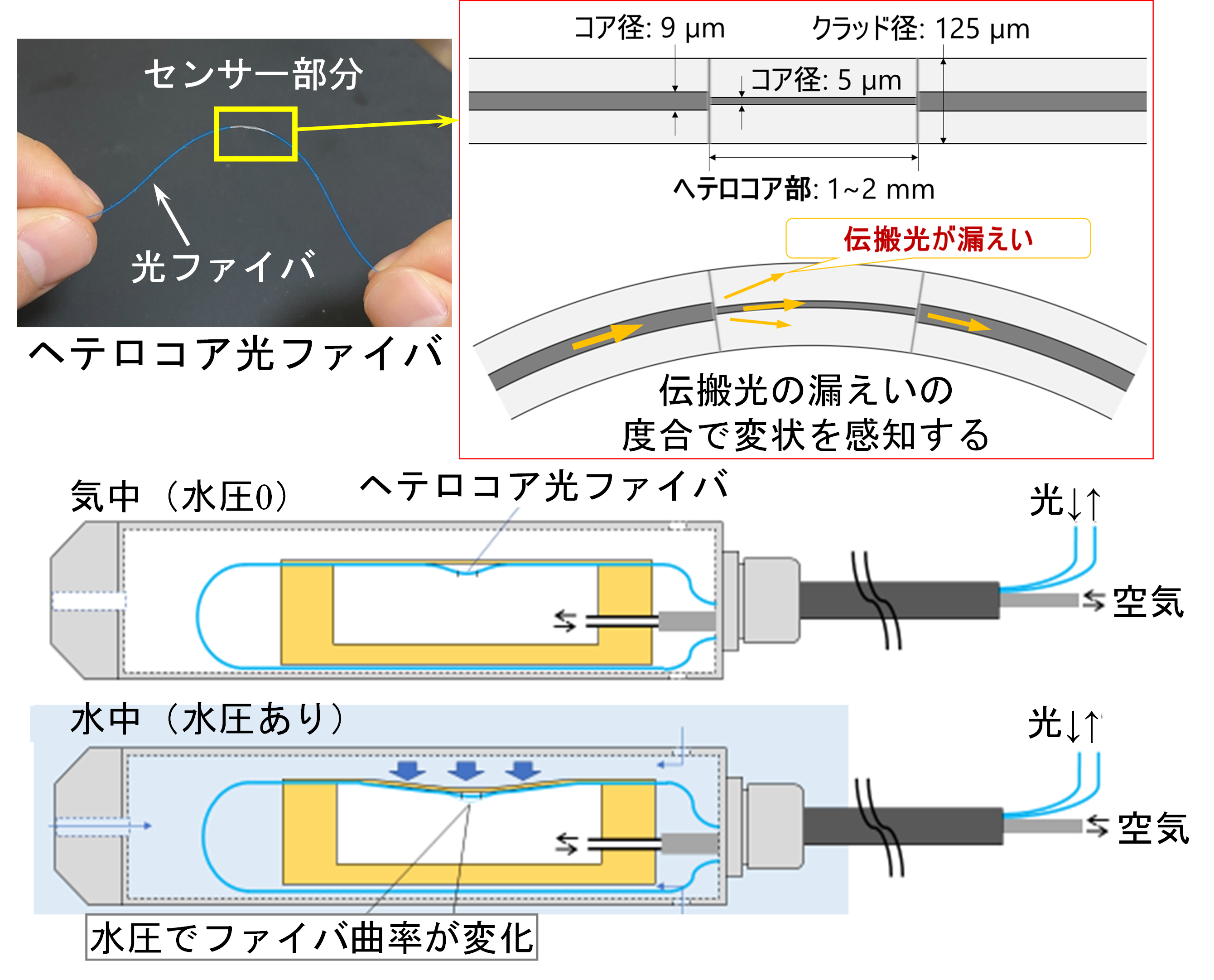 図１　ヘテロコア光ファイバ水位計概念図