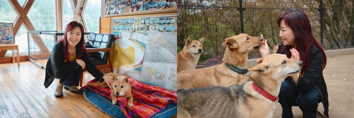 アンバサダー伍代夏子氏、ピースワンコ・ジャパン神石高原シェルターを訪問 アンバサダー伍代夏子氏、ピースワンコ・ジャパン神石高原シェルターを訪問