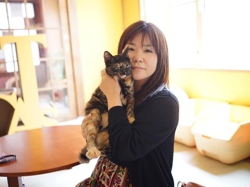 猫を残して死ねない！日本最大級保護猫イベント「ネコ市ネコ座」にて